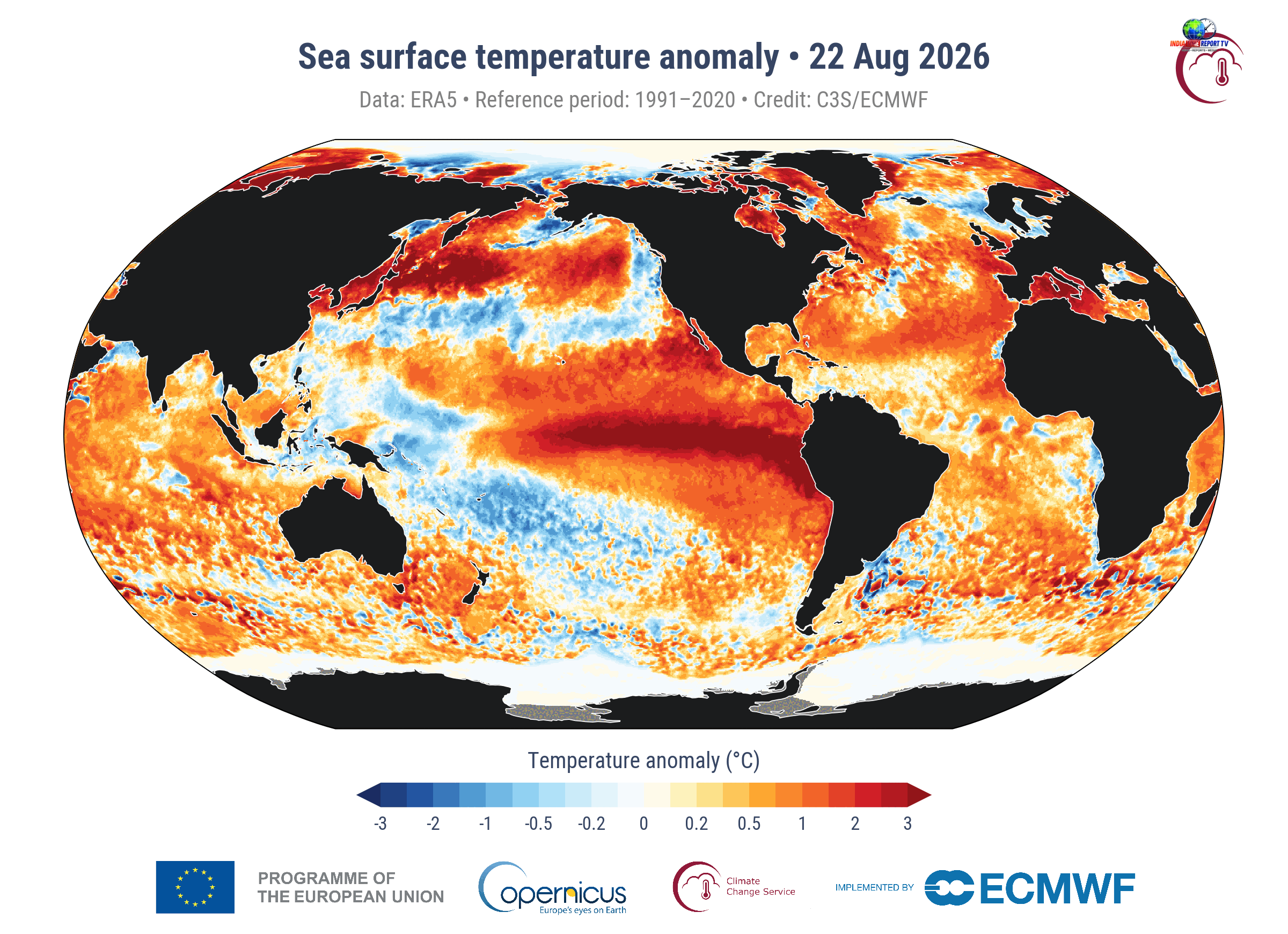 C3S/ECMWF global sea surface temperature anomaly map for 22 August 2026