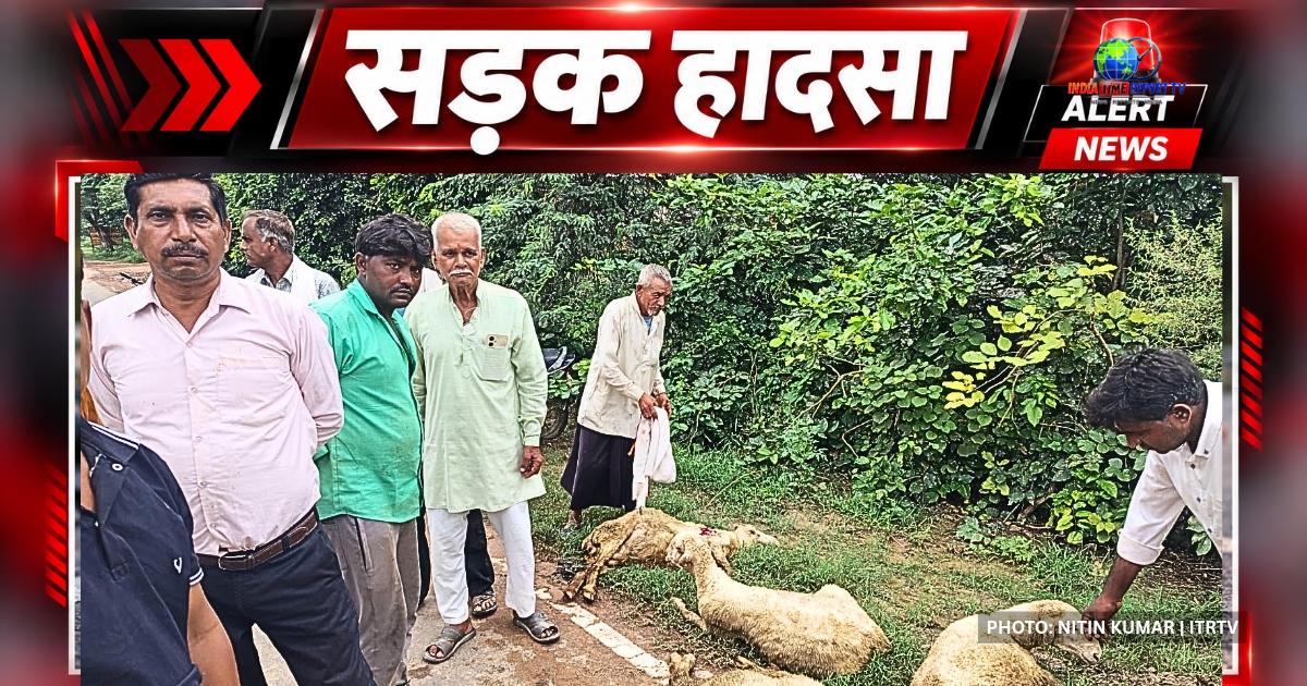 सादाबाद-जलेसर मार्ग पर टेंपो की टक्कर के बाद सड़क किनारे मृत और घायल भेड़ें